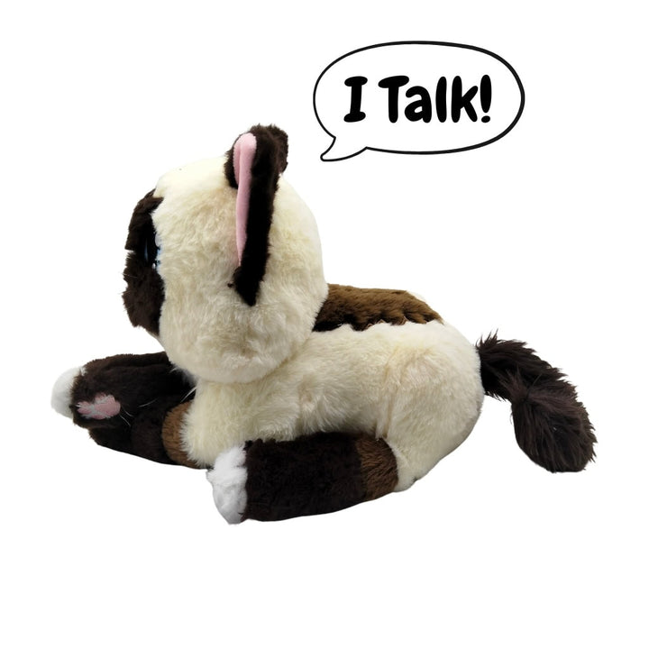Pablo the Cat Plush