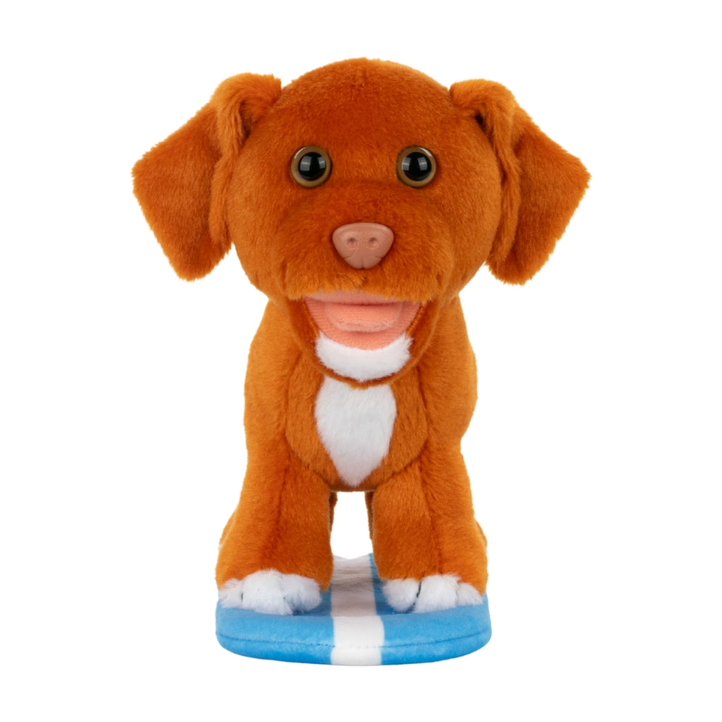 Surfing Toller Plushie – Gimme Swag
