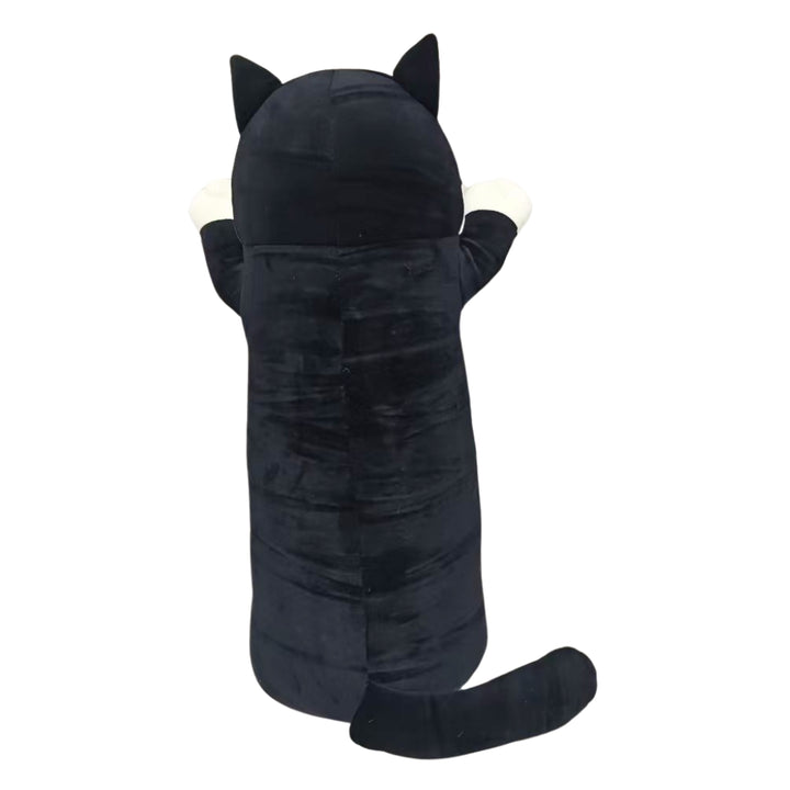 2ChaosCats Pillow