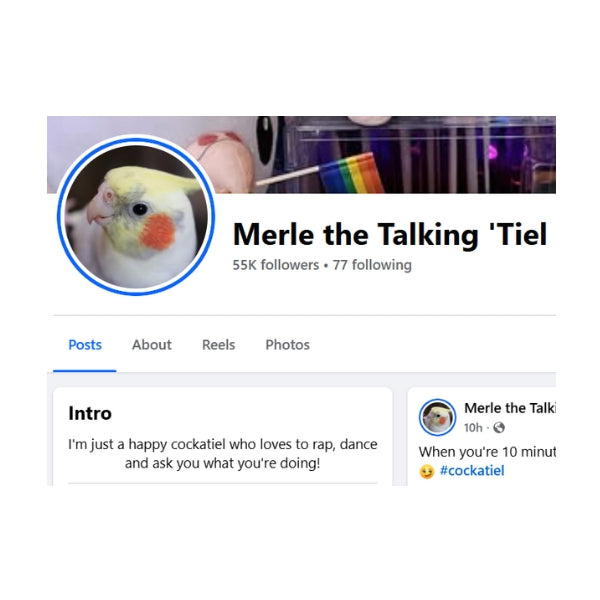 Merle the Talking Plush - With Sound