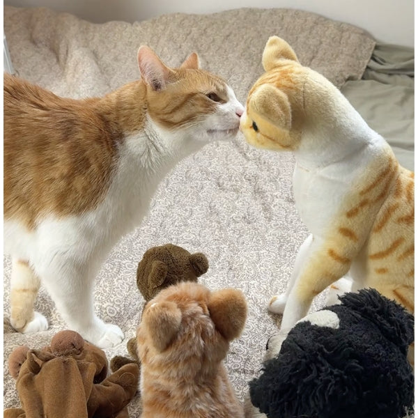 Ros Adventure Cat Plushie (Official)