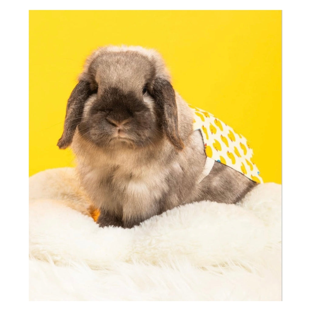 Beef the Bunny Plushy