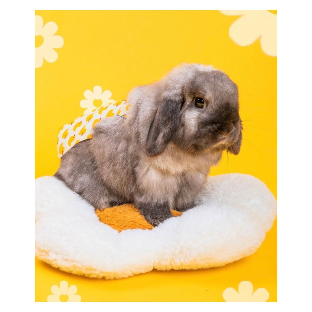 Beef the Bunny Plushy