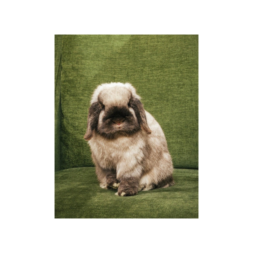 Beef the Bunny Plushy