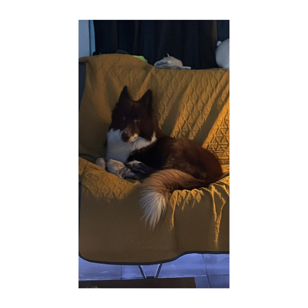 Bowie Plush