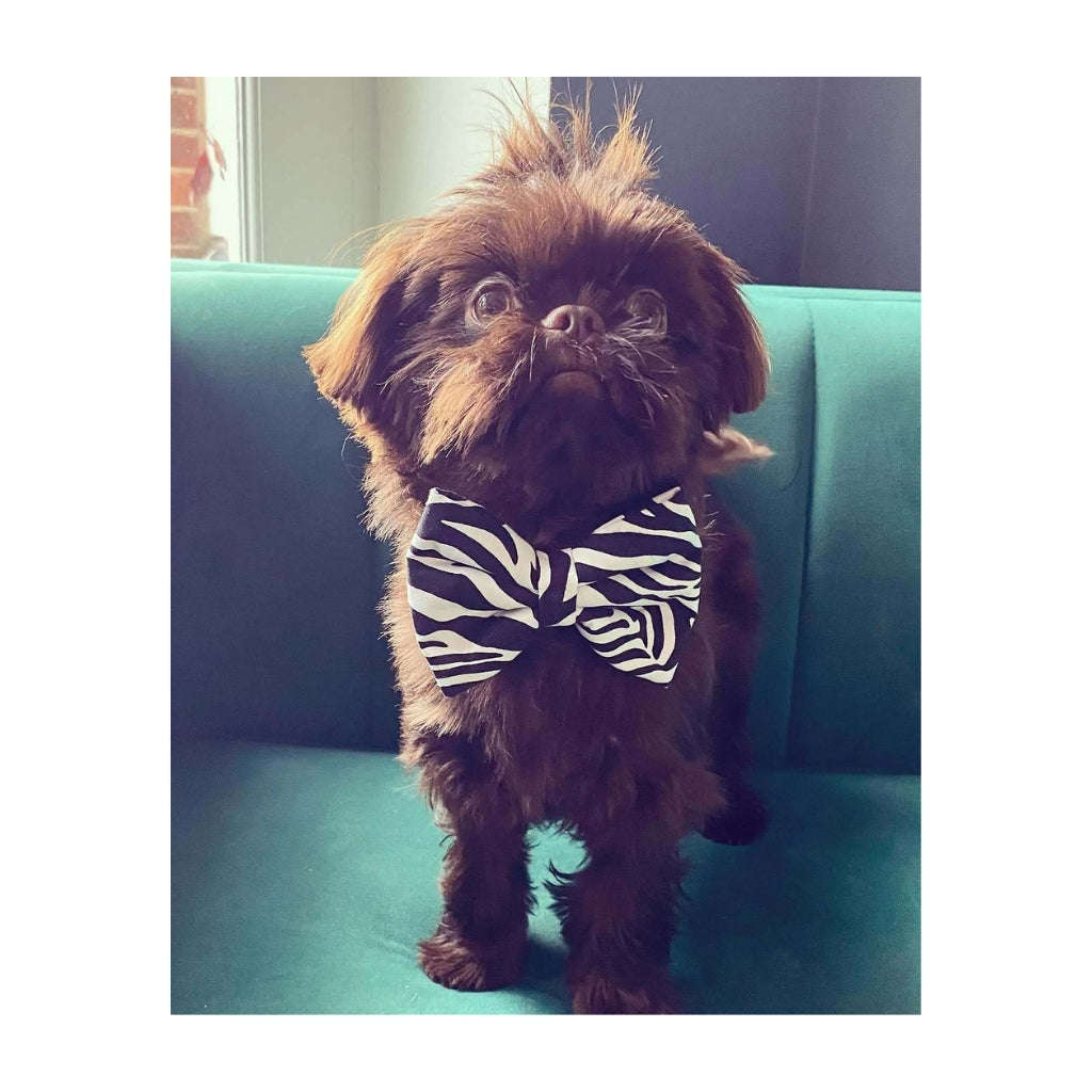 Branston Plush