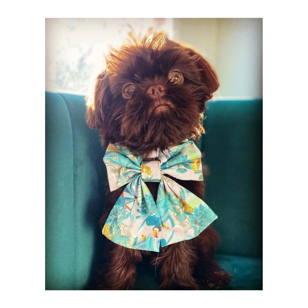 Branston Plush
