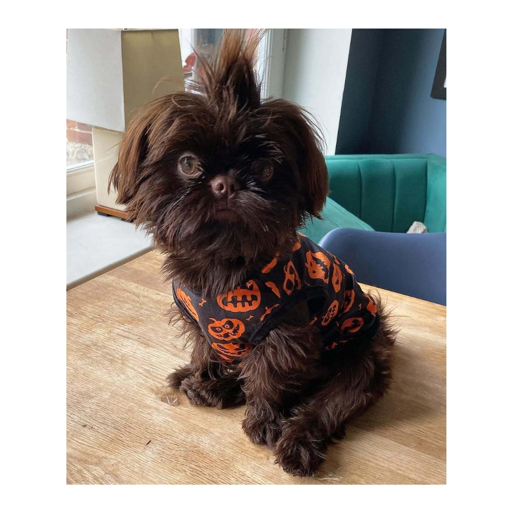 Branston Plush