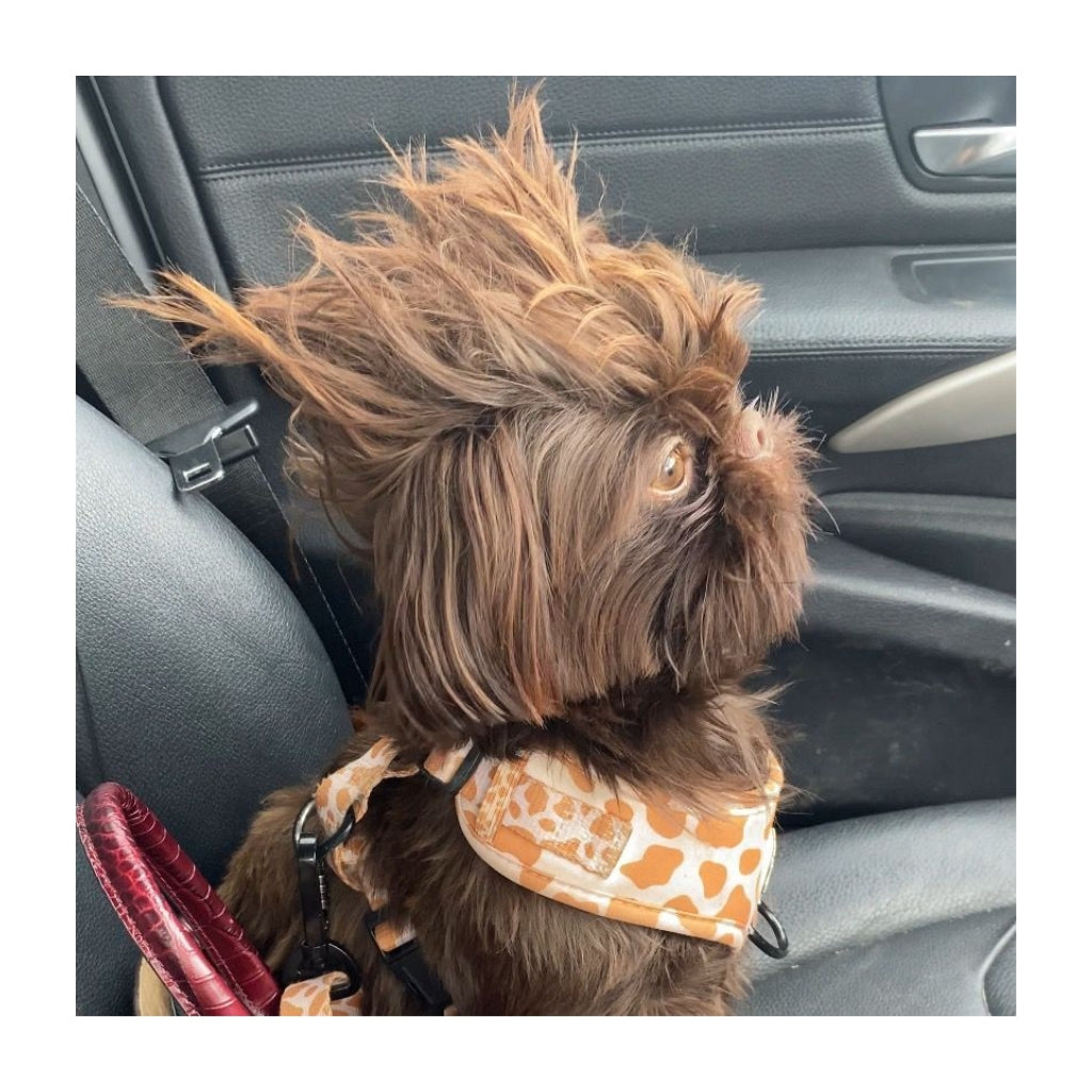 Branston Plush