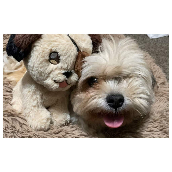 Bug Plush