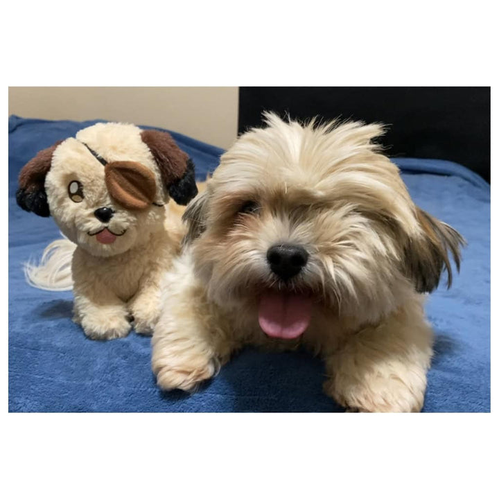 Bug Plush