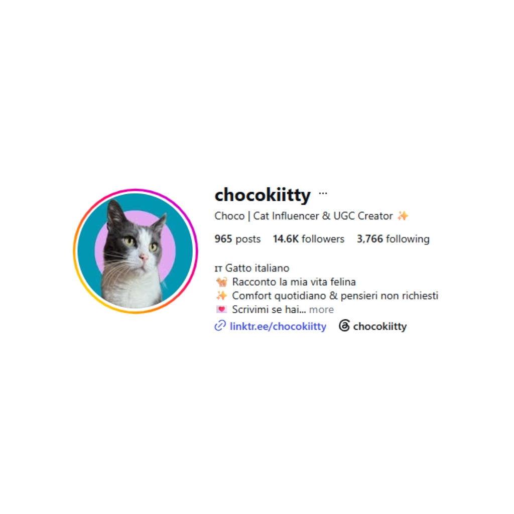 Chocokiitty Plush
