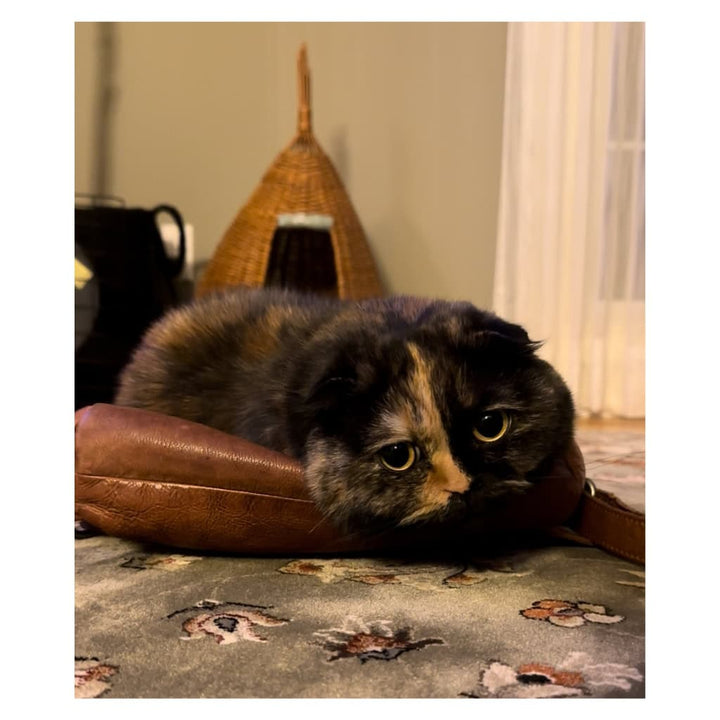 Cleo Plushie