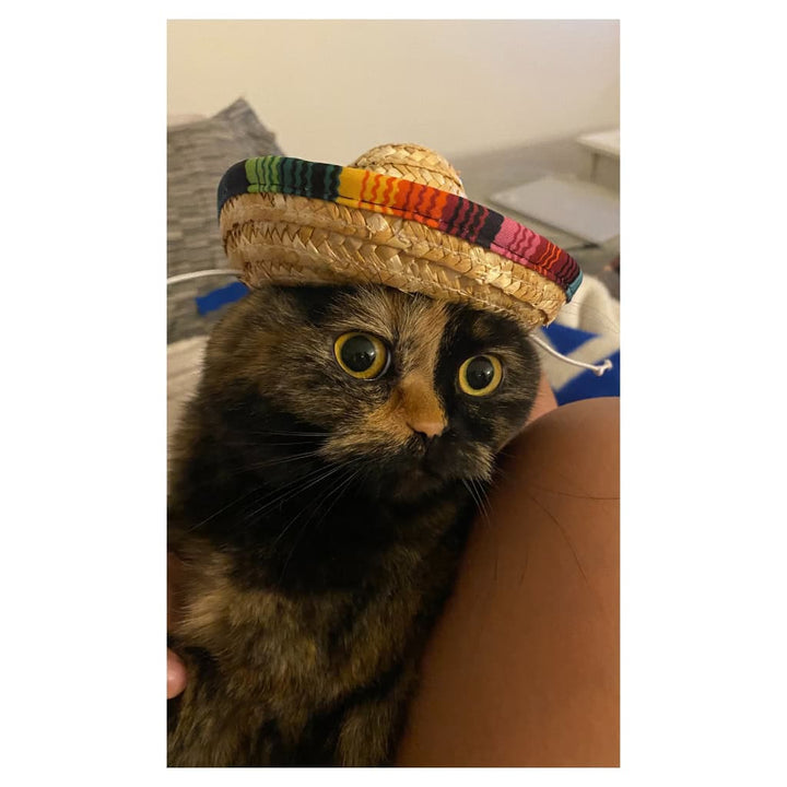 Cleo Plushie