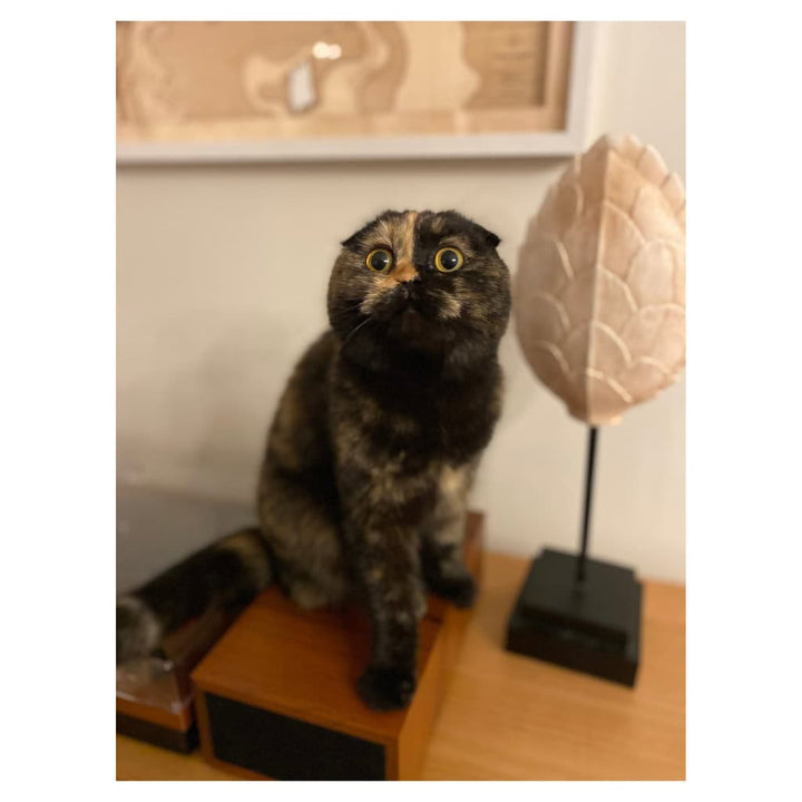 Cleo Plushie