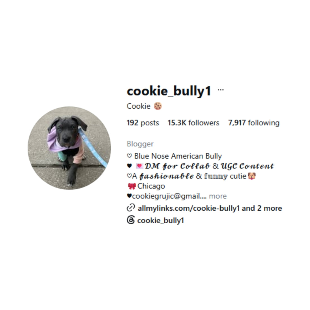 Cookie the Bully Plush