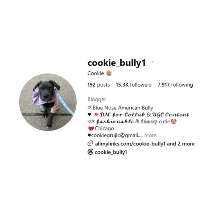 Cookie the Bully Plush