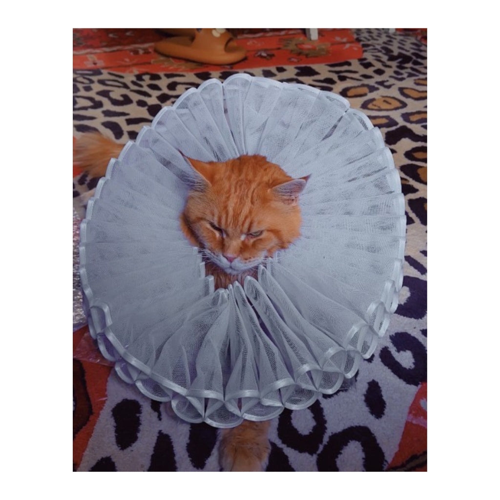 Cutlet the Cat Plush