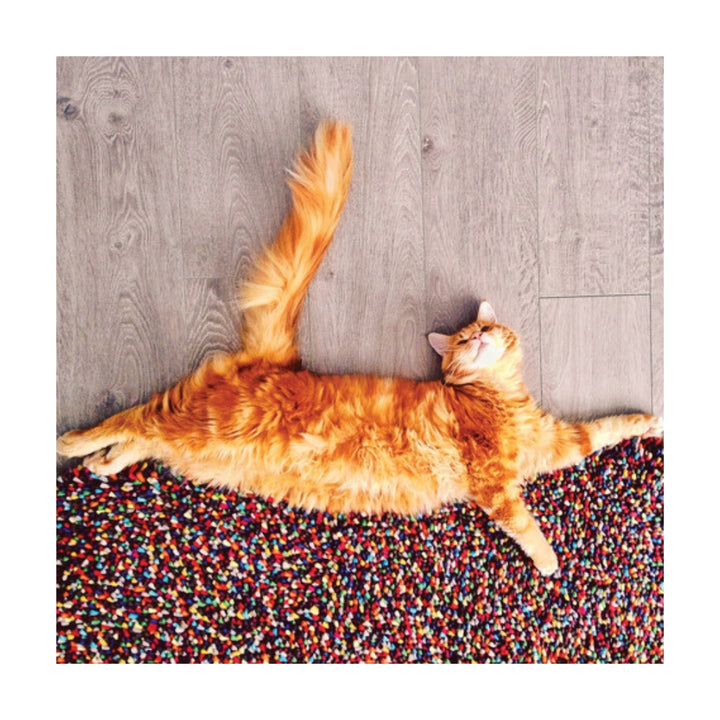 Cutlet the Cat Plush