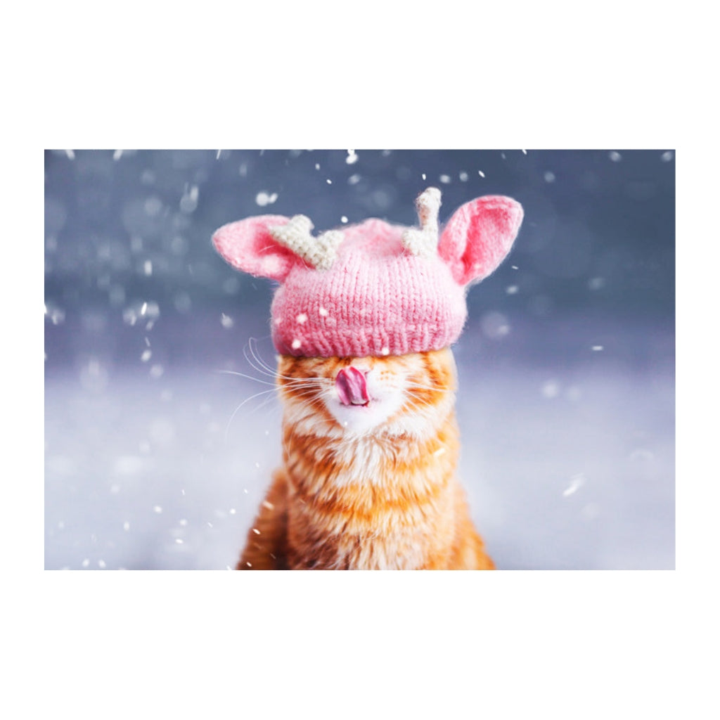 Cutlet the Cat Plush