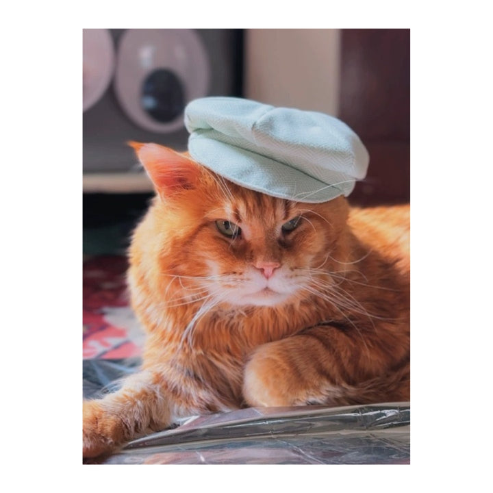 Cutlet the Cat Plush