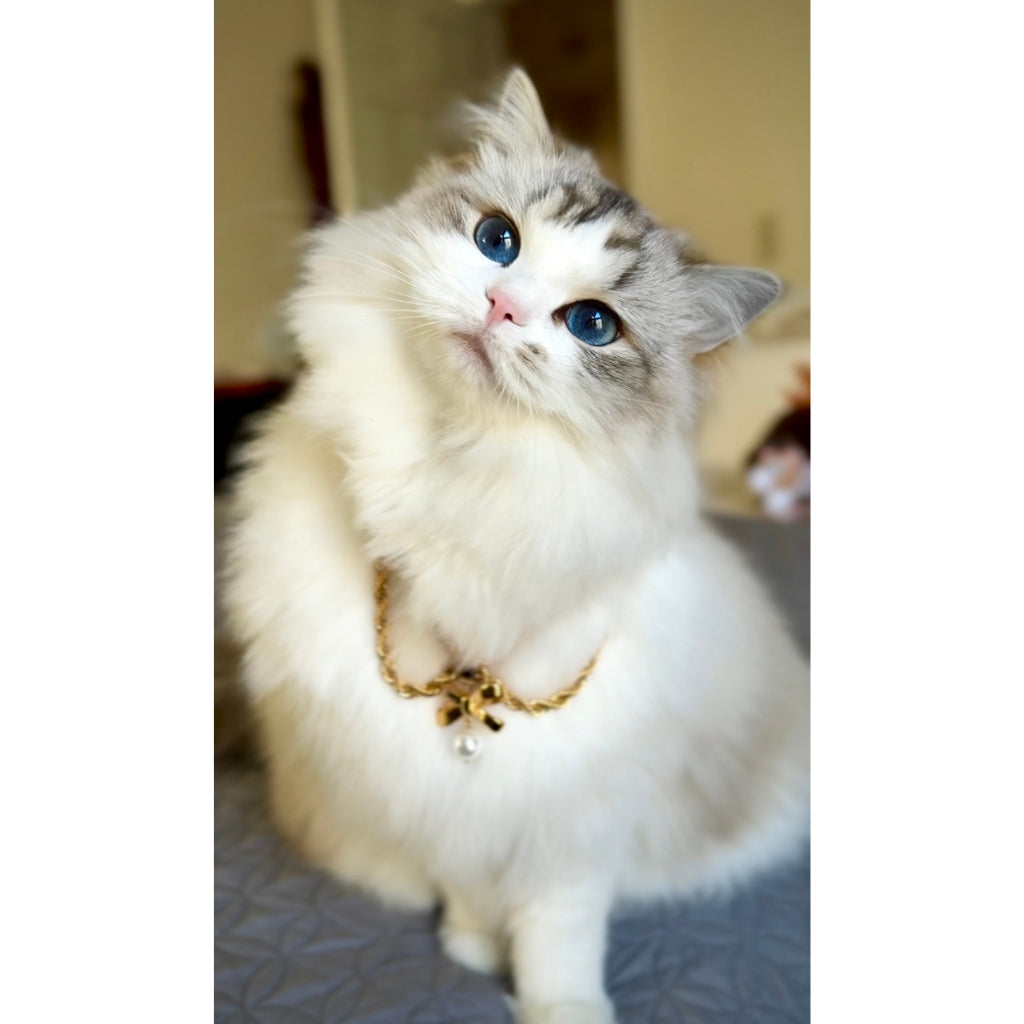 Duchess Furina Doll