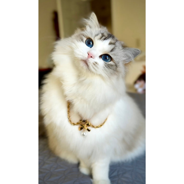Duchess Furina Doll