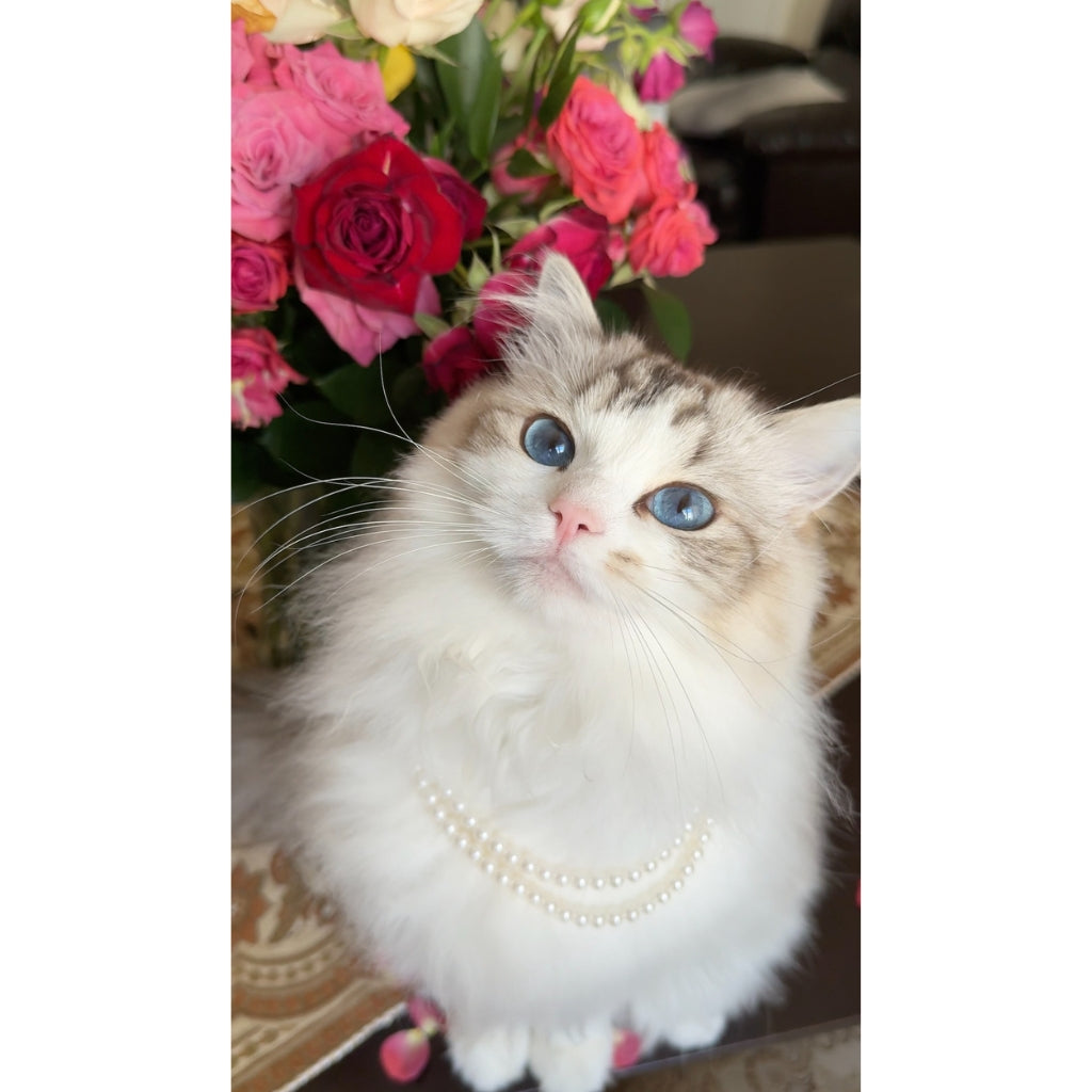 Duchess Furina Doll