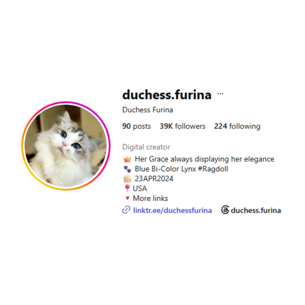 Duchess Furina Doll
