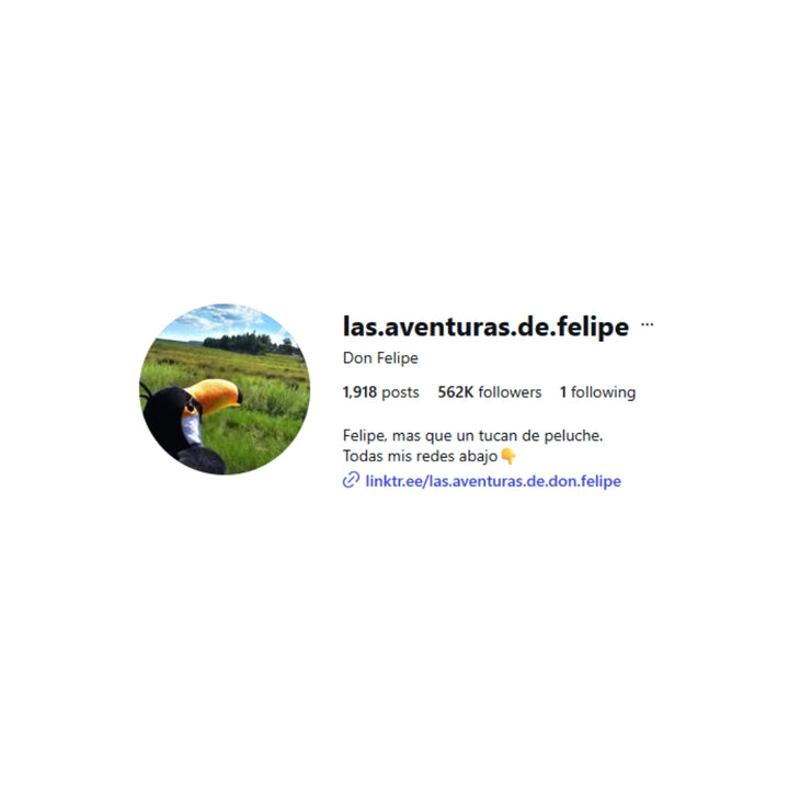 Felipe Aventurero Plush