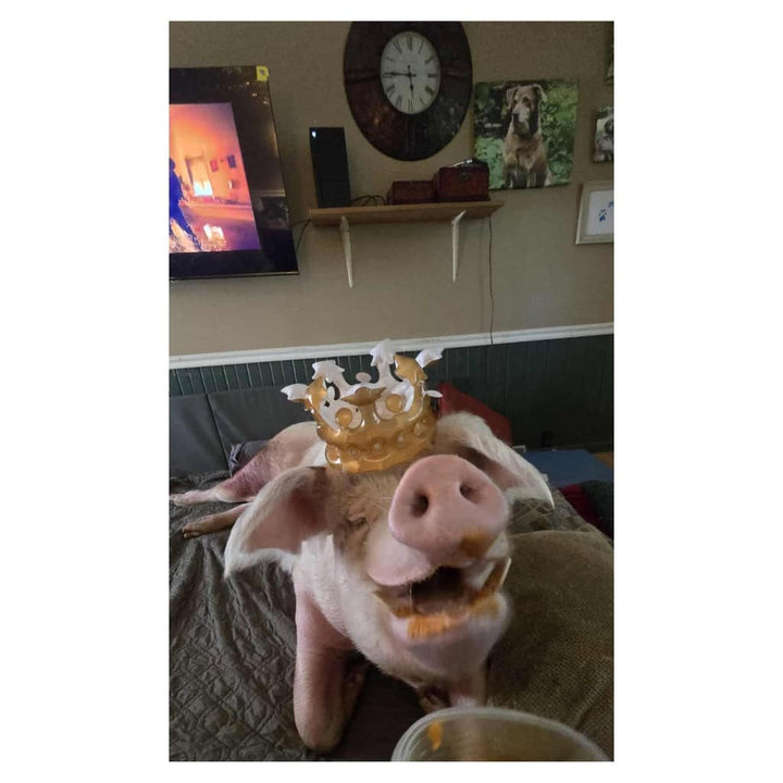 Hampton Hamilton Pigglesworth King of Kindness Plush