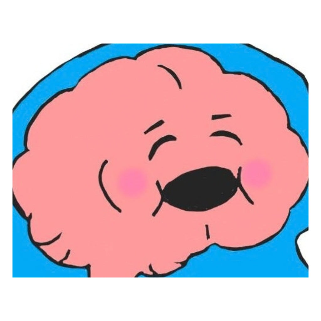 Happy Brain Plushie