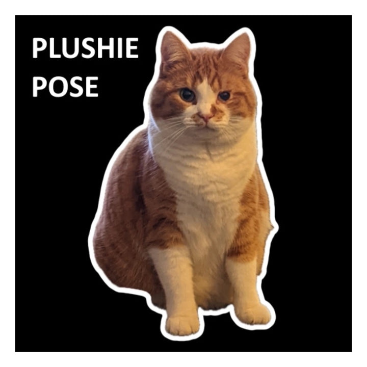 Henry Plushie