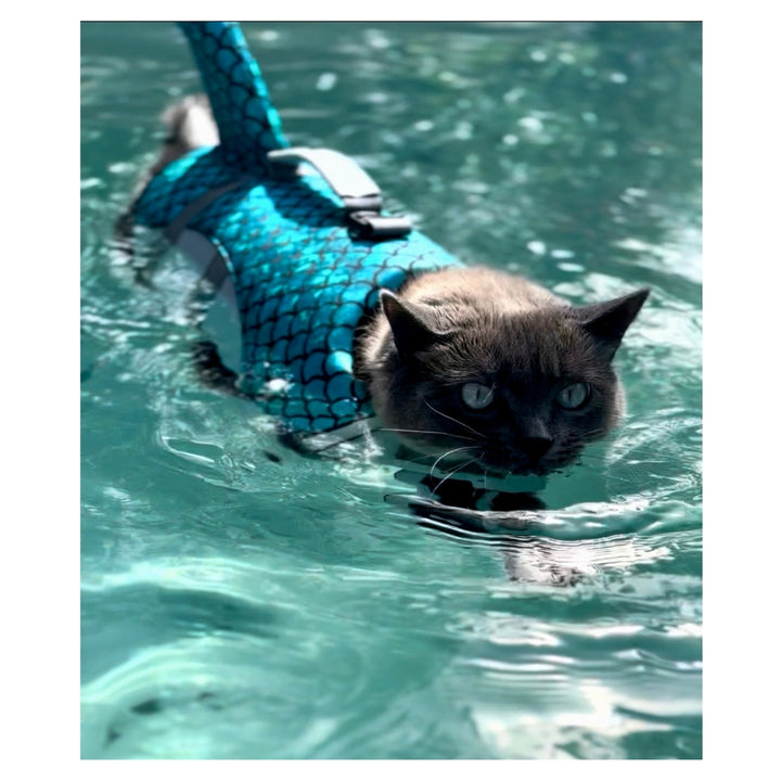 Hester is Not a Cat Plush