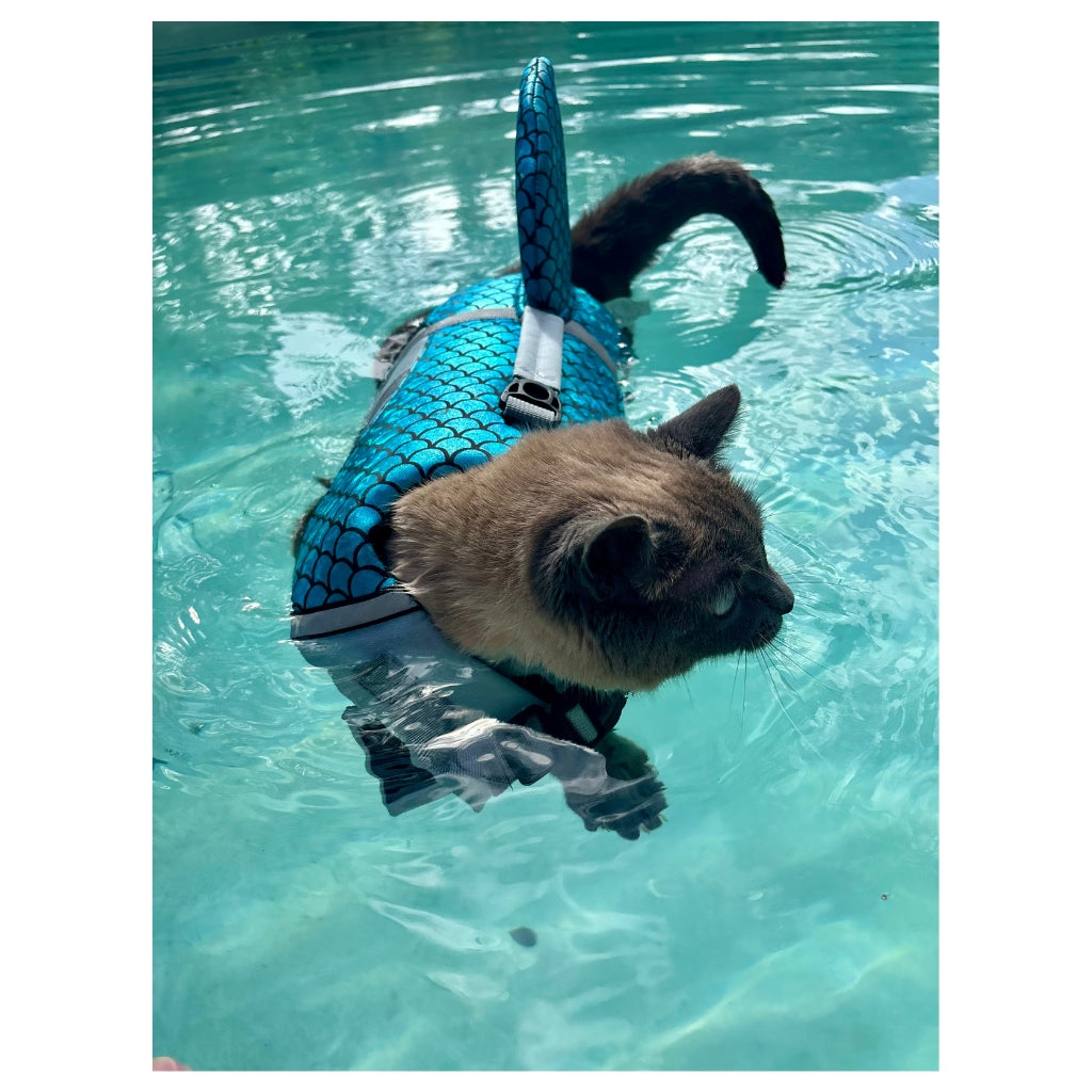 Hester is Not a Cat Plush