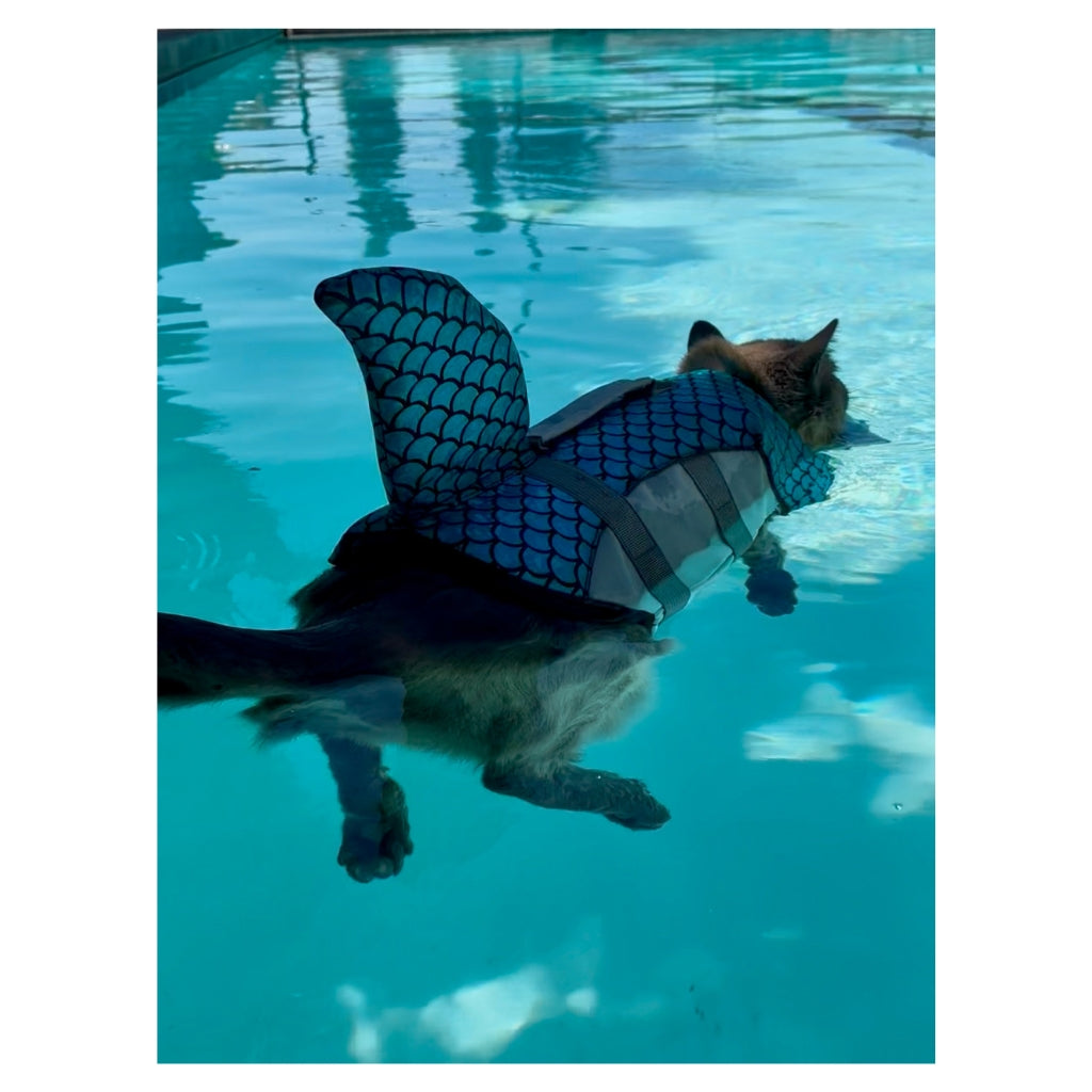 Hester is Not a Cat Plush