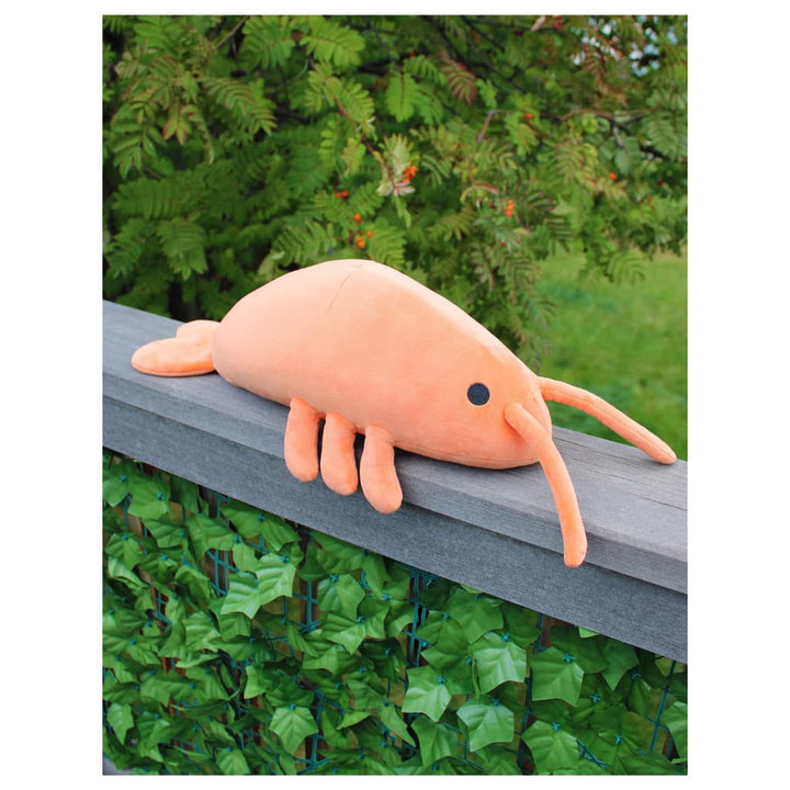 Huggable Emotional Support Shrimp Pillow