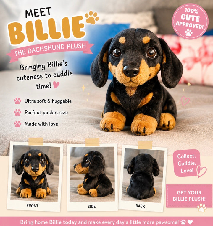 Billie Plush @frankieandbillie_