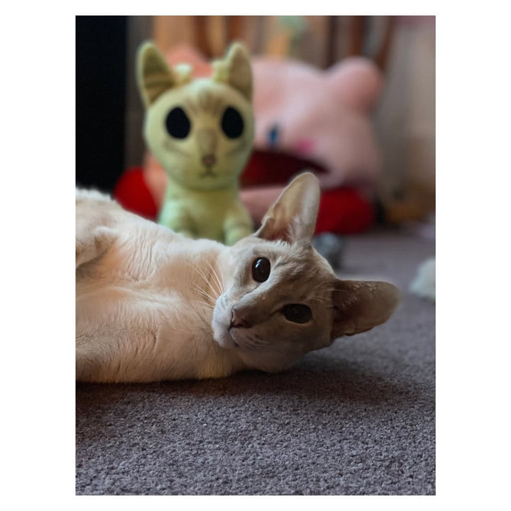 Ivy Alien Plush!