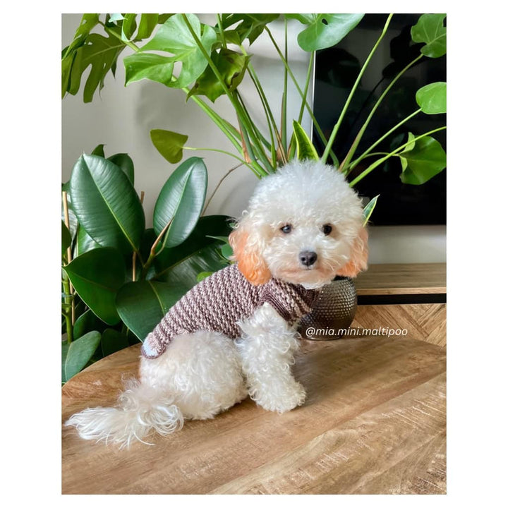 Mia & Her Pizza – The Ultimate Cuddle Plush