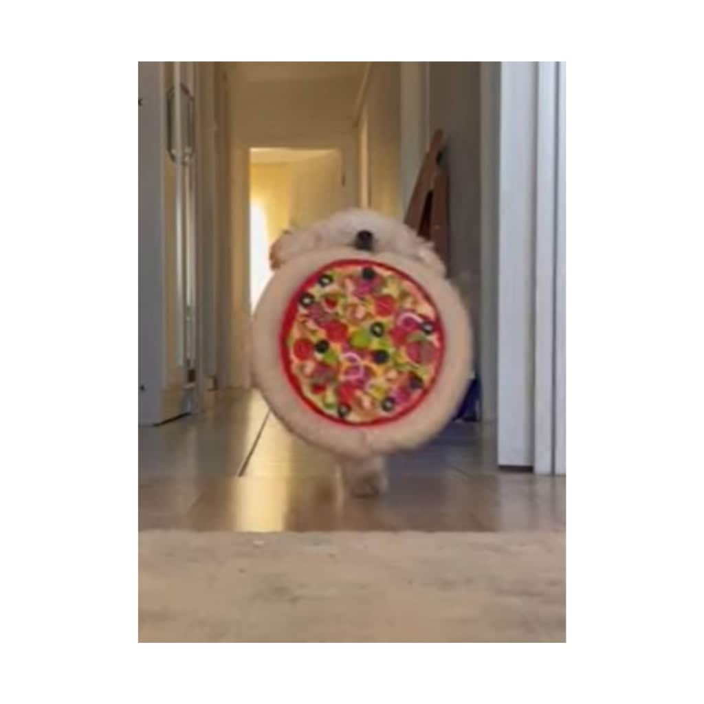 Mia & Her Pizza – The Ultimate Cuddle Plush