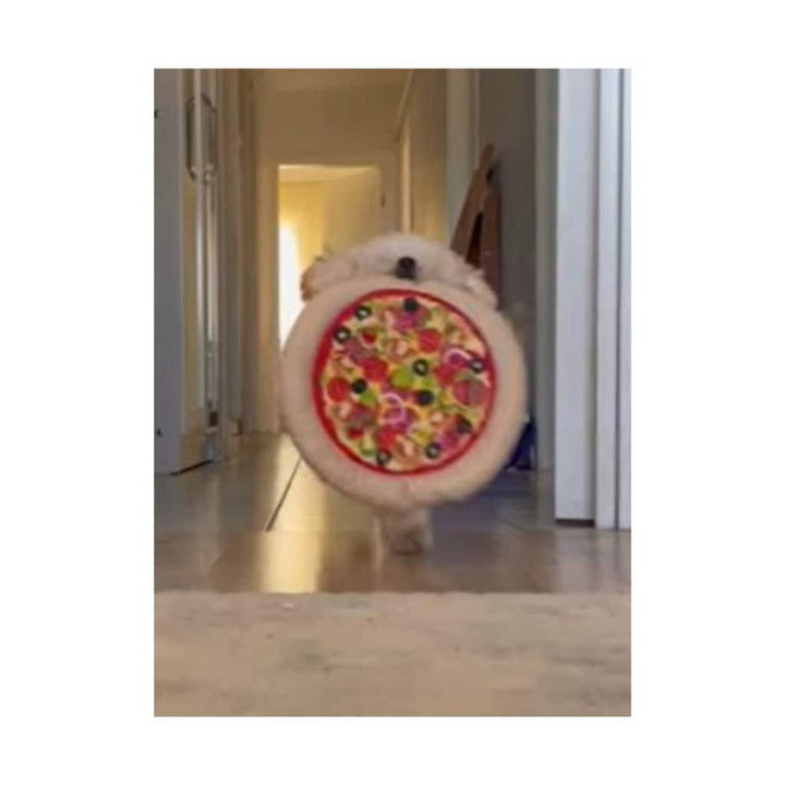 Mia & Her Pizza – The Ultimate Cuddle Plush