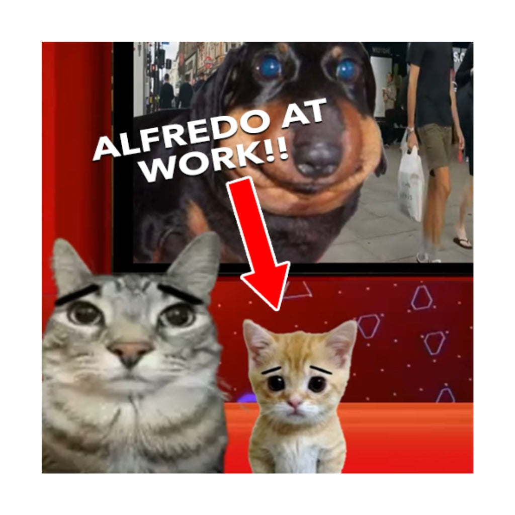 Peenar News Alfredo Plushie