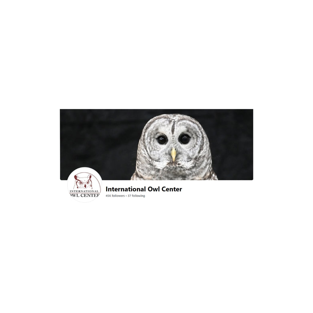 Pierce the Barred Owl Plush - With Sounds!