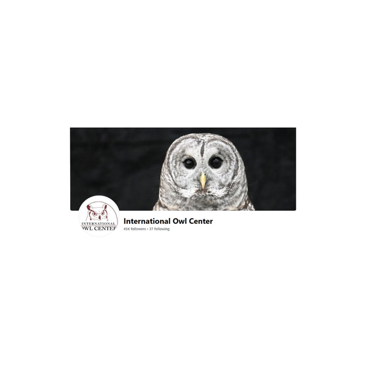 Pierce the Barred Owl Plush - With Sounds!