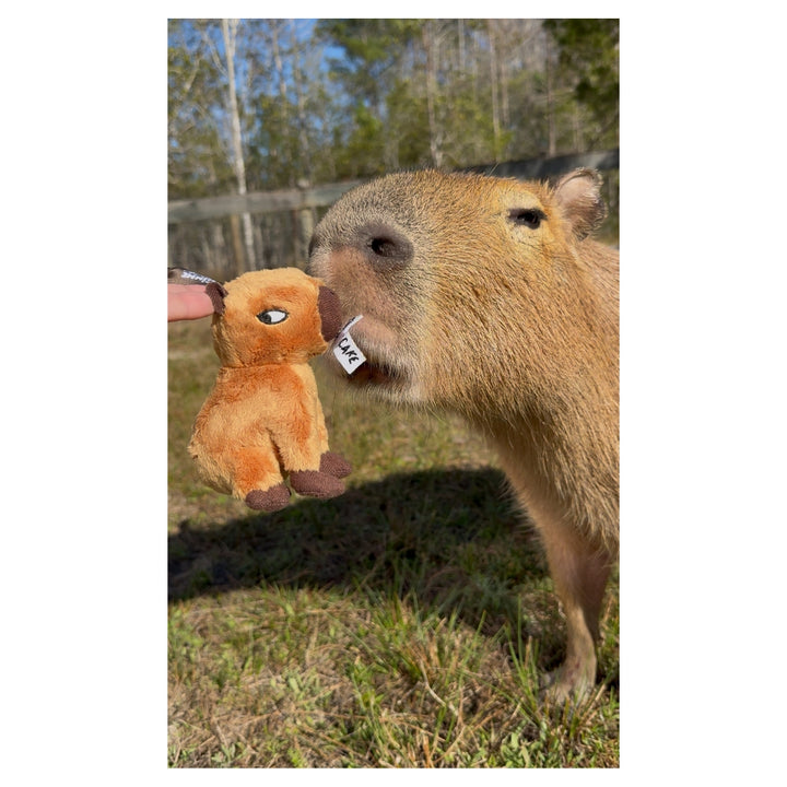 Pumpkin & Cheesecake Bag Charms