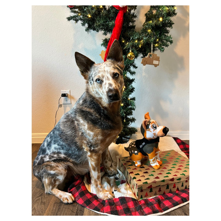 Rhett the Heeler Plush