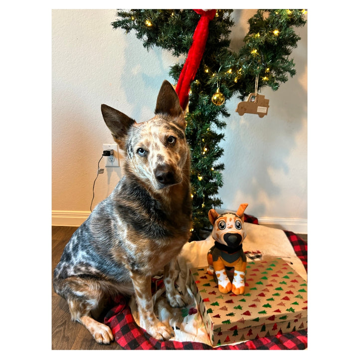 Rhett the Heeler Plush