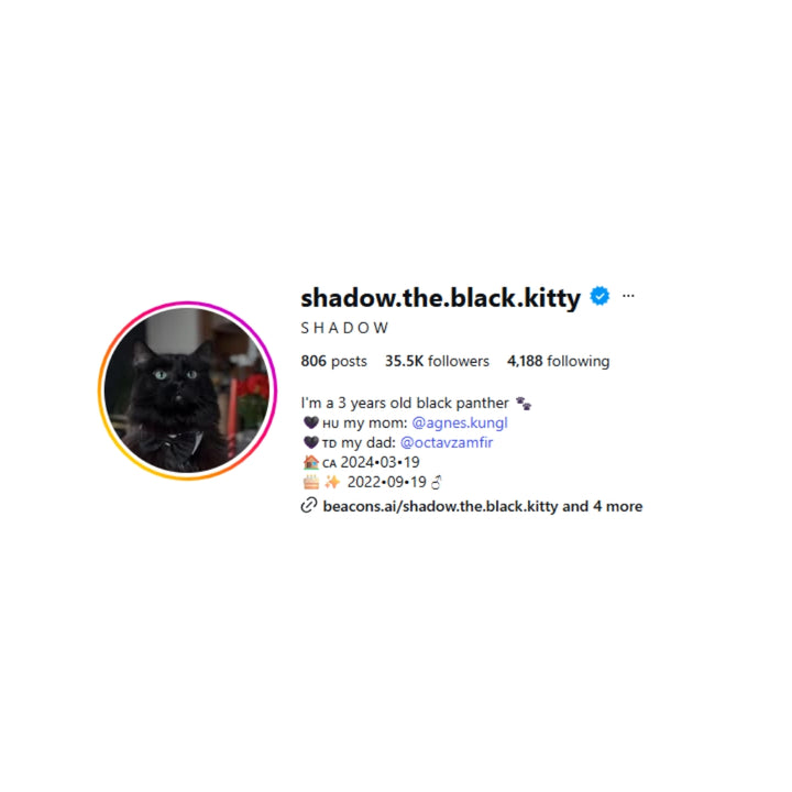 Shadow The Black Kitty Plush