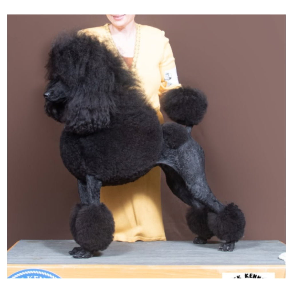 Show Poodle Plushie